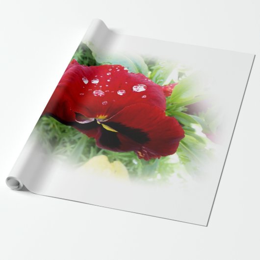 明るい赤のパンジー ラッピングペーパー (アンロールド)