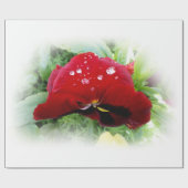 明るい赤のパンジー ラッピングペーパー (フラット)