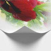 明るい赤のパンジー ラッピングペーパー (角)