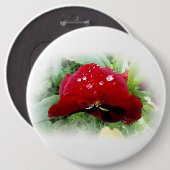 明るい赤のパンジー 缶バッジ (正面&裏面)