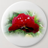 明るい赤のパンジー 缶バッジ (正面)