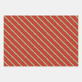 明るい赤の水の色のスイカのフラットセット ラッピングペーパーシート (正面3)