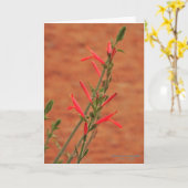 明るい赤の砂漠の野草ハチドリの茂み カード (黄色い花)
