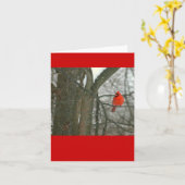 明るい赤の（鳥）ショウジョウコウカンチョウオンツリーブランチ（写真） カード (黄色い花)