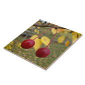 明るい赤カニりんご写真タイル タイル (側面)