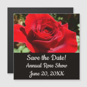 明るい赤バラ花美しいフローラ (正面/裏面)