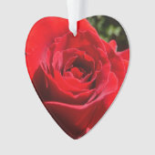 明るい赤バラ花美しいフローラ オーナメント (正面)