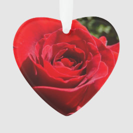 明るい赤バラ花美しいフローラ オーナメント