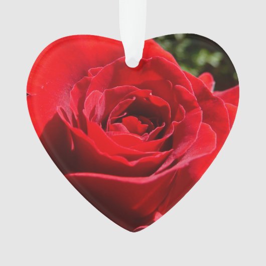明るい赤バラ花美しいフローラ オーナメント (正面)