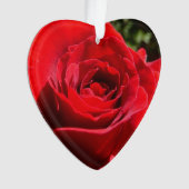 明るい赤バラ花美しいフローラ オーナメント (正面)