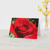 明るい赤バラ花美しいフローラ カード (黄色い花)
