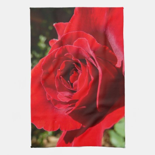 明るい赤バラ花美しいフローラ キッチンタオル (縦)