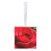 明るい赤バラ花美しいフローラ キューブオーナメント (右)