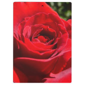 明るい赤バラ花美しいフローラ クリップボード (裏面)