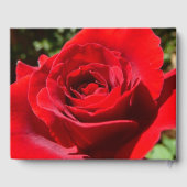 明るい赤バラ花美しいフローラ ゲストブック (裏面)