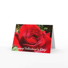 明るい赤バラ花美しいフローラ