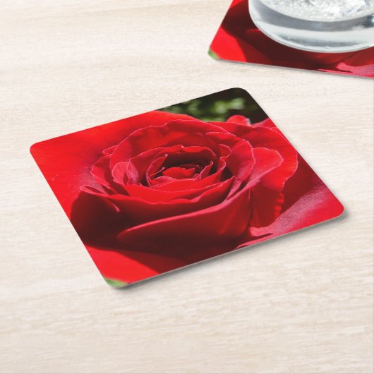 明るい赤バラ花美しいフローラ スクエアペーパーコースター (アングル)