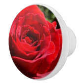 明るい赤バラ花美しいフローラ セラミックノブ (右)