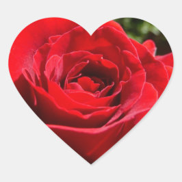 明るい赤バラ花美しいフローラ ハートシール