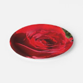 明るい赤バラ花美しいフローラ ペーパープレート (アングル)