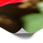 明るい赤バラ花美しいフローラ ポスター (角)