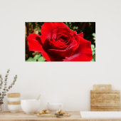 明るい赤バラ花美しいフローラ ポスター (キッチン)