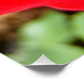 明るい赤バラ花美しいフローラ ポスター (コーナー)