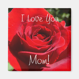 明るい赤バラ花美しいフローラ マグネット