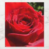 明るい赤バラ花美しいフローラ ワインラベル (シングルラベル)