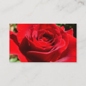 明るい赤バラ花美しいフローラ 名刺 (裏面)