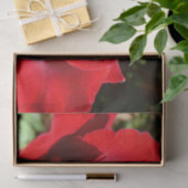 明るい赤バラ花美しいフローラ 薄葉紙 (ギフト)