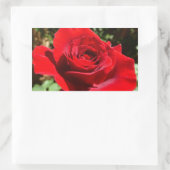 明るい赤バラ花美しいフローラ 長方形シール (バッグ)