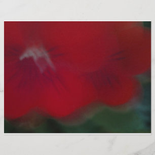 明るい赤モダンの花写真