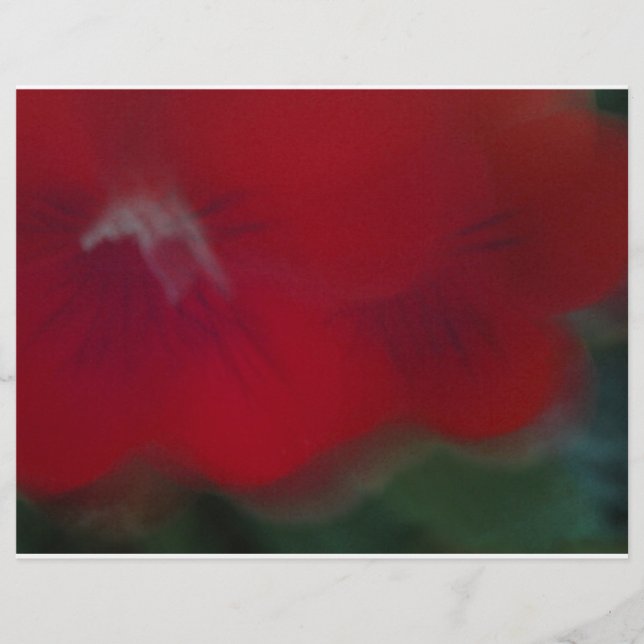 明るい赤モダンの花写真 (正面)