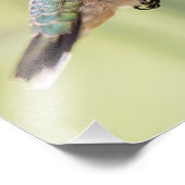 明るい赤紫色お気に入りのハミングバード フォトプリント            (角)