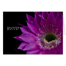 明るい赤紫色サボテン花RSVP