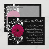 明るい赤紫色スクロールゲルベラデイジーブラックデイトを保存 案内ポストカード (正面/裏面)