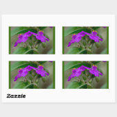 明るい赤紫色スパイダーワーツツインズワイルドフラワーギフトアパレル 長方形シール (シート)