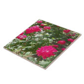 明るい赤紫色バラどこでも タイル (側面)