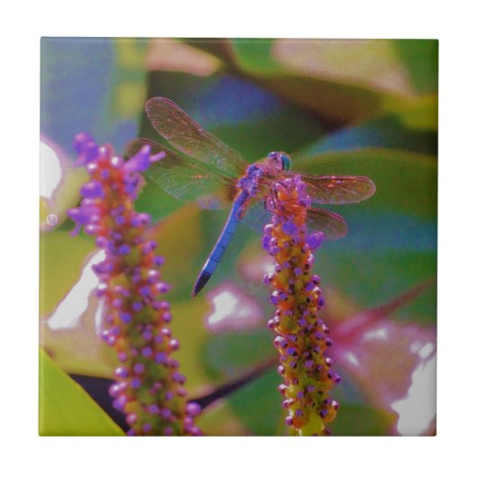 明るい赤紫色フラワーとドラゴンフライ タイル (正面)