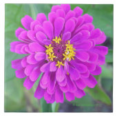 明るい赤紫色色花 タイル (正面)