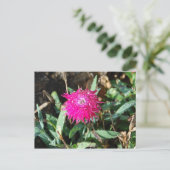 明るい赤紫色花写真はがき ポストカード (スタンド正面)