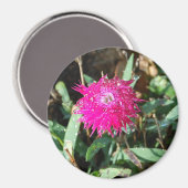明るい赤紫色花写真磁石 マグネット (正面/裏面)