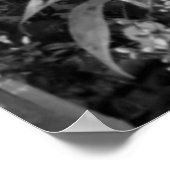 明るい赤紫色花 ポスター (角)