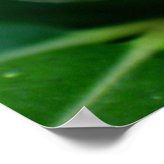 明るい赤紫色花 ポスター (角)