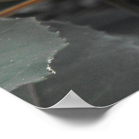 明るい赤紫色 ポスター (角)