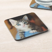 明るい青い目の子ネコ コースター (左側)