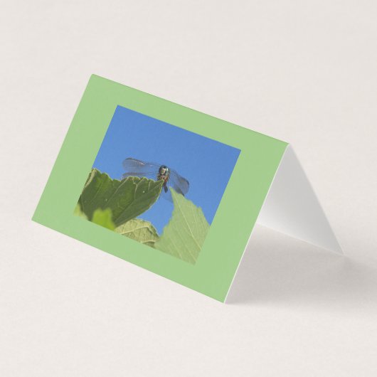 明るい青い空に向かってトンボのクローズアップ (正面)