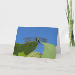 明るい青い空に向かってトンボのクローズアップ カード