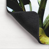 明るい青い空を持つ大きな緑のアロエ植物 マウスパッド (コーナー)